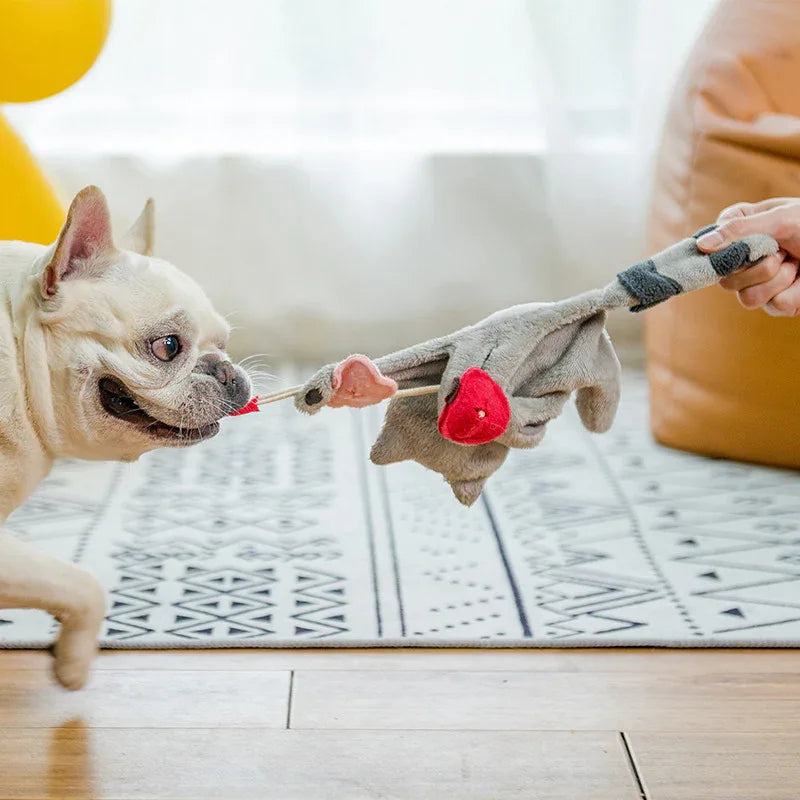 Peluche pour chien, anti-stress, pour le grincement des dents, jouet à mâcher interactif