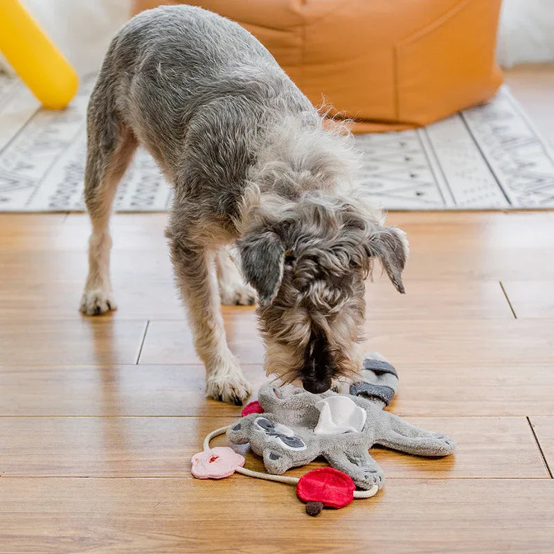 Peluche pour chien, anti-stress, pour le grincement des dents, jouet à mâcher interactif