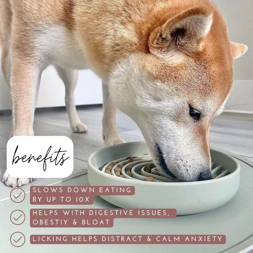 Gamelle anti-glouton en silicone pour chien Slowdown