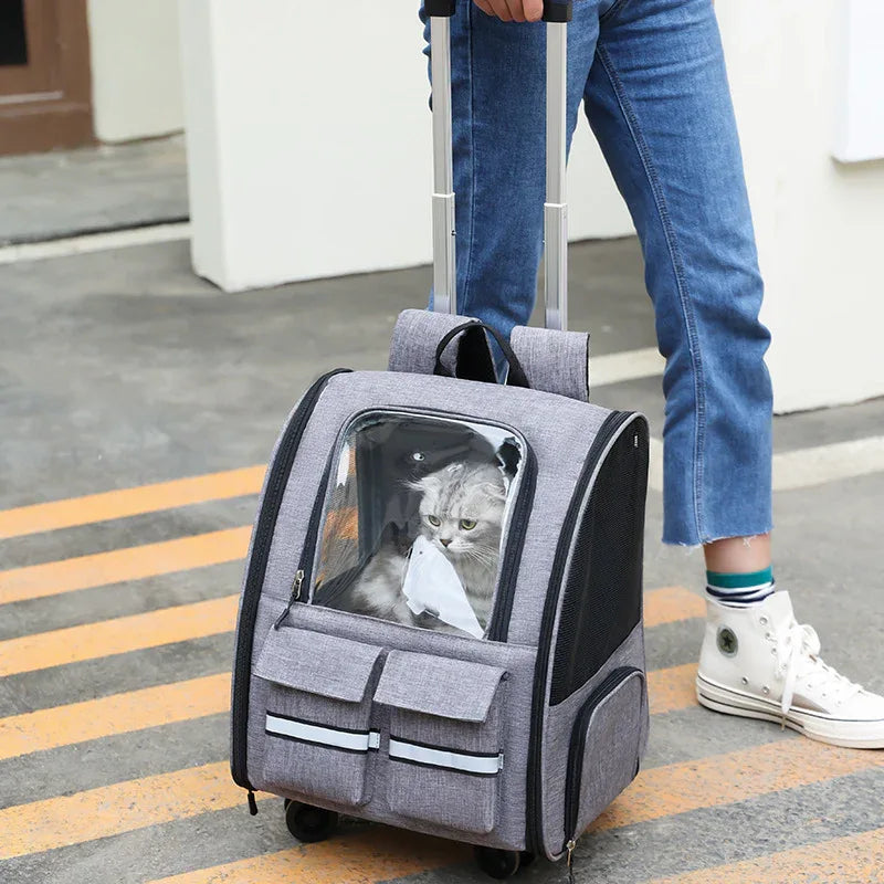 Sac à dos pour animaux de compagnie double épaule, pliable et respirant, pour chat et chien