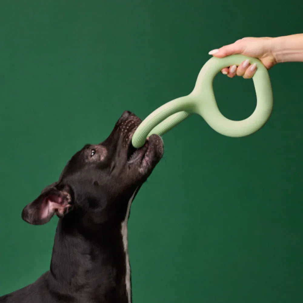 Jouet interactif à mordiller en caoutchouc pour chien