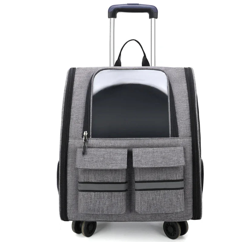 Sac à dos pour animaux de compagnie double épaule, pliable et respirant, pour chat et chien