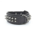 Hundehalsband aus Leder mit Halstuch