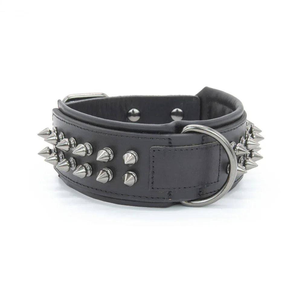 Hundehalsband aus Leder mit Halstuch