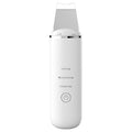 Appareil de nettoyage des pores du visage, dissolvant de points noirs, spatule-épurateur