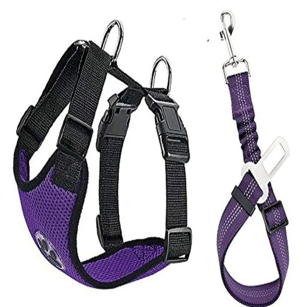 Harnais ajustable en nylon pour chien avec laisse amovible