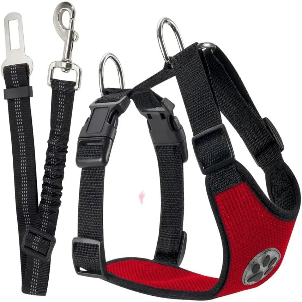 Harnais ajustable en nylon pour chien avec laisse amovible