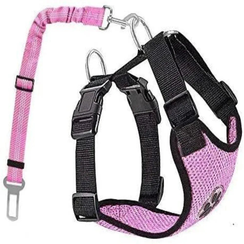 Harnais ajustable en nylon pour chien avec laisse amovible