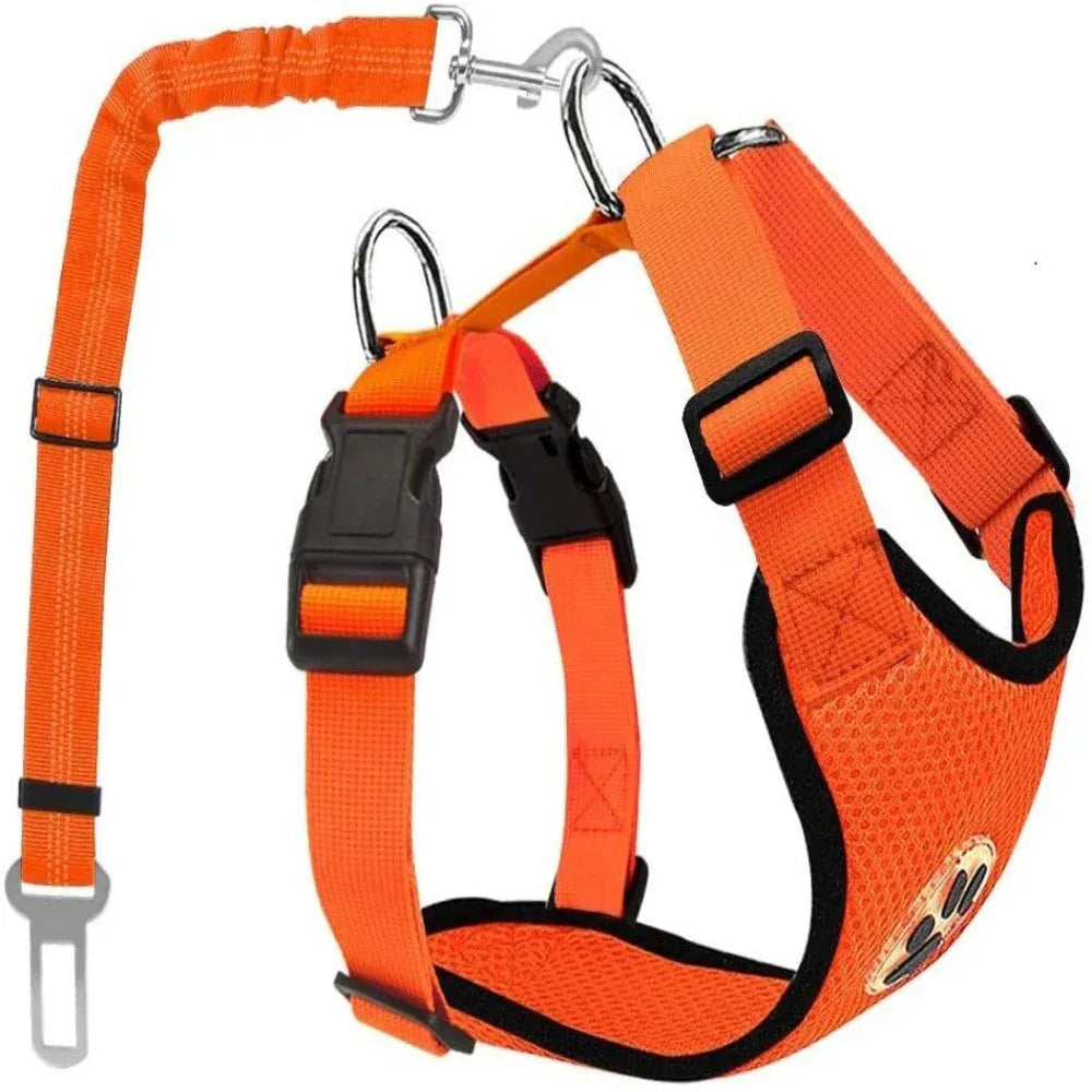 Harnais ajustable en nylon pour chien avec laisse amovible