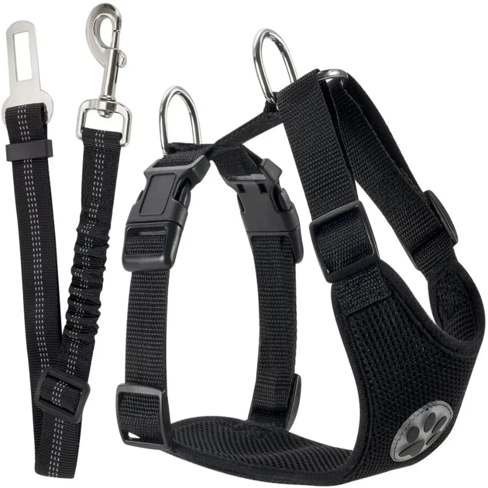 Harnais ajustable en nylon pour chien avec laisse amovible