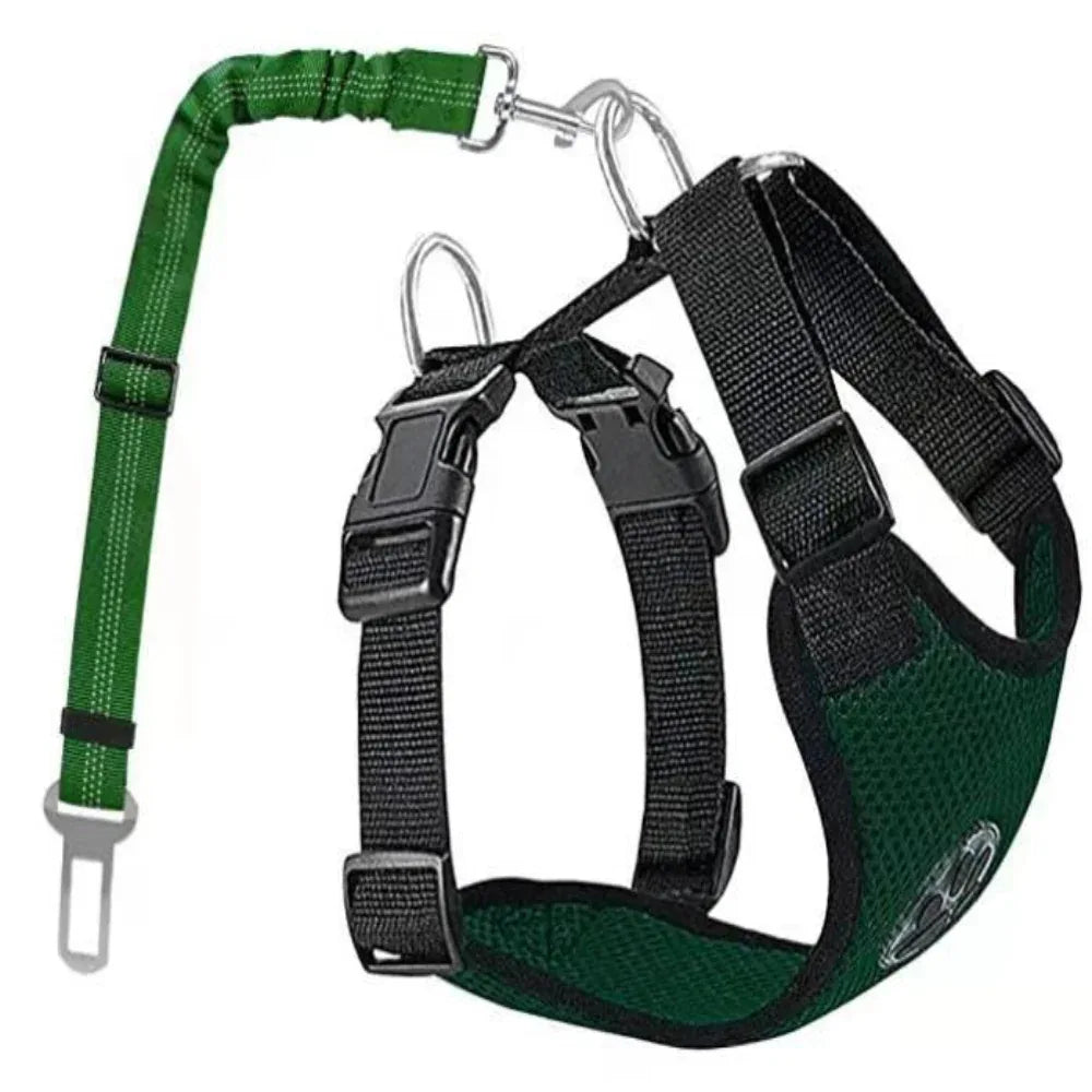 Harnais ajustable en nylon pour chien avec laisse amovible