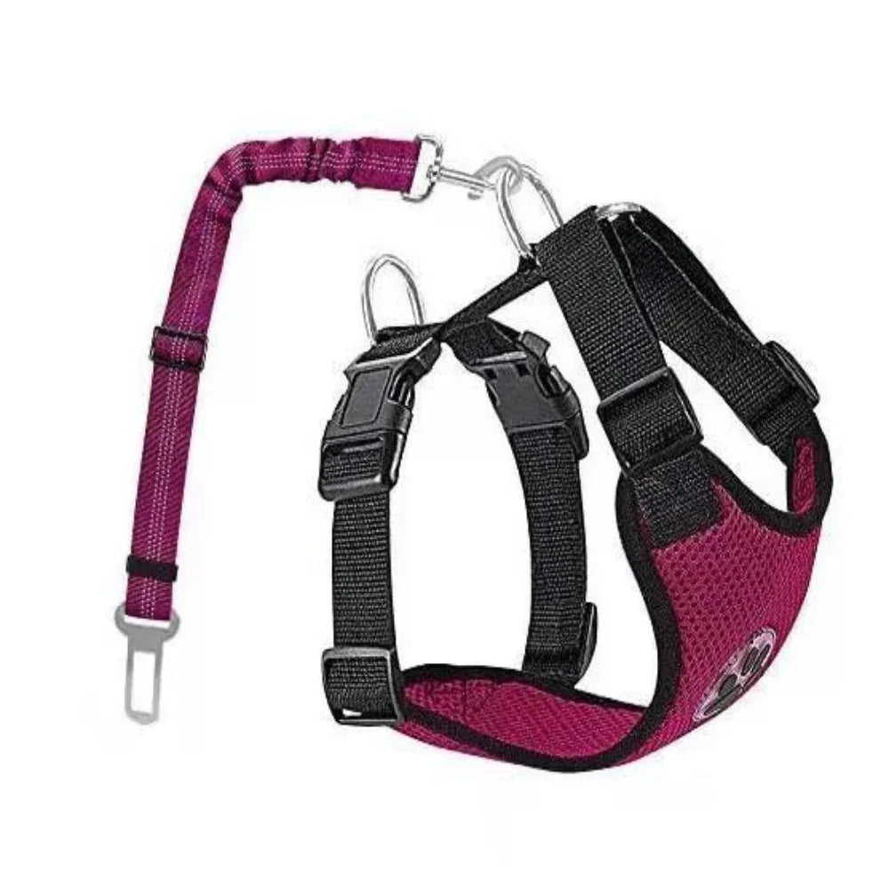 Harnais ajustable en nylon pour chien avec laisse amovible
