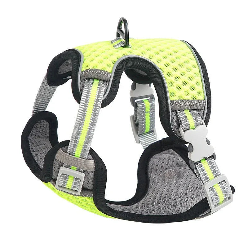 Harnais réglable en nylon pour chien et chat