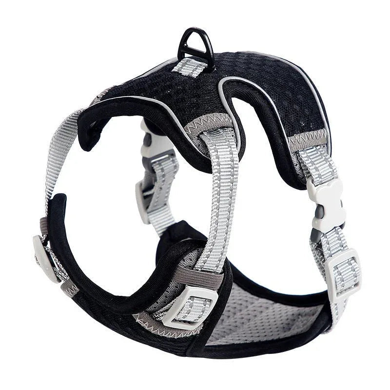 Harnais réglable en nylon pour chien et chat