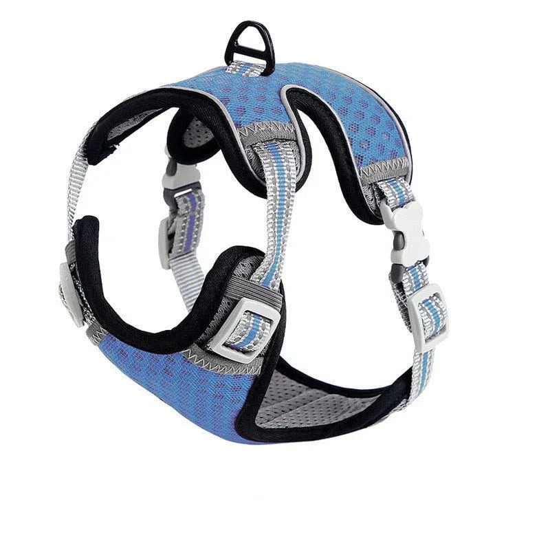 Harnais réglable en nylon pour chien et chat