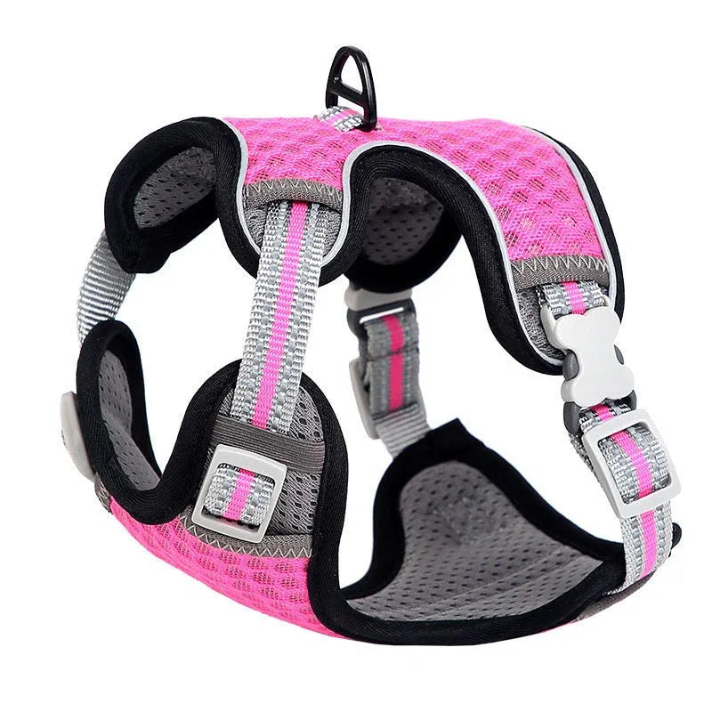 Harnais réglable en nylon pour chien et chat