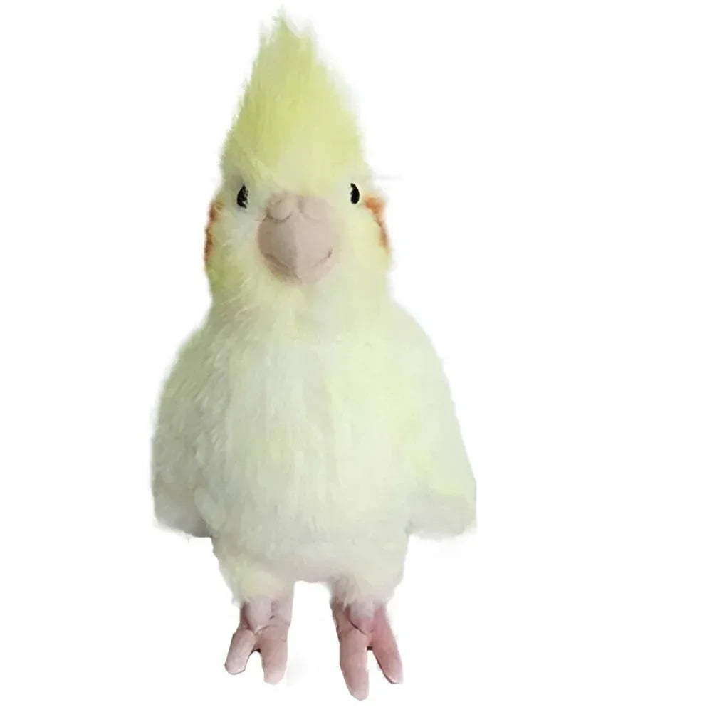 Jouet en peluche perroquet oiseau Cadeau d'anniversaire