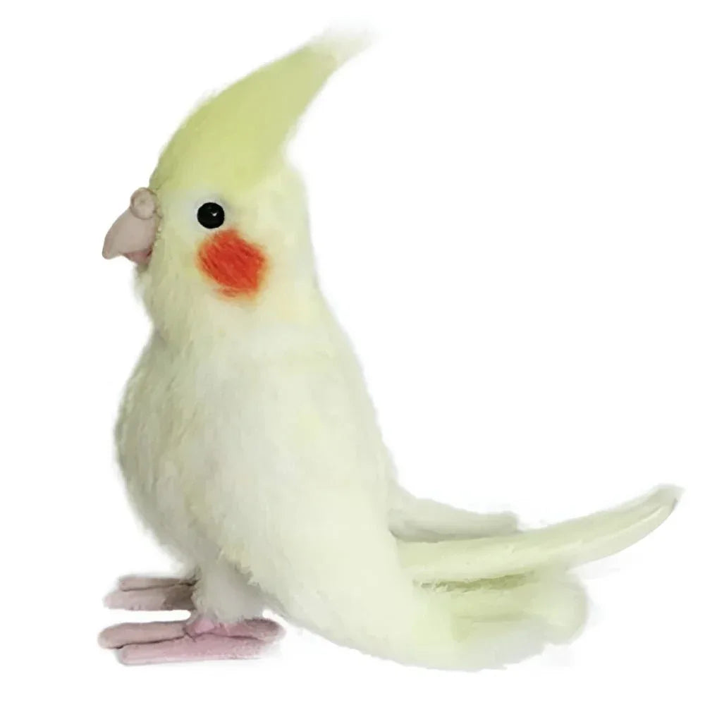 Jouet en peluche perroquet oiseau Cadeau d'anniversaire