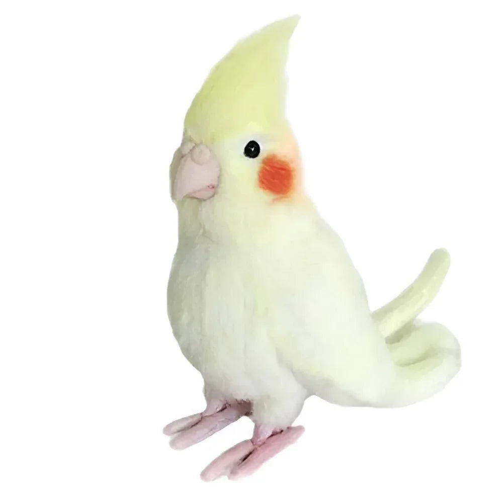 Jouet en peluche perroquet oiseau Cadeau d'anniversaire