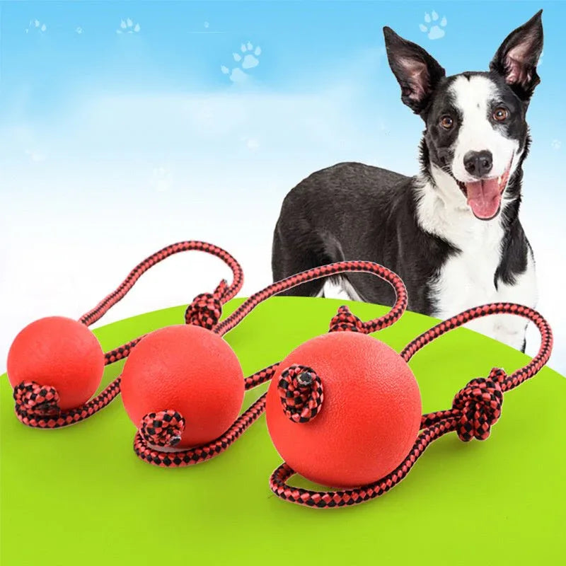Bissfester Gummiball mit elastischem Seil Hundekauspielzeug