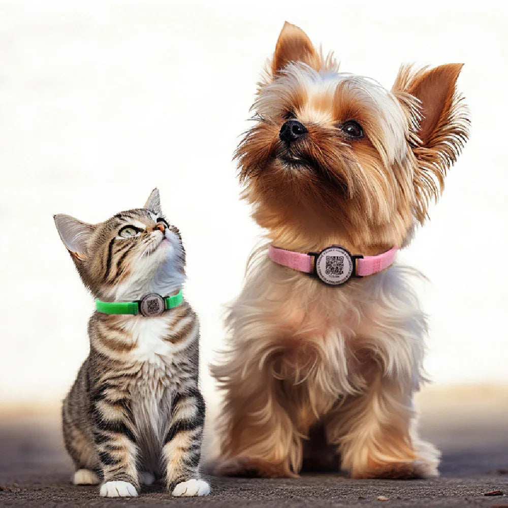Collier Créatif Anti-Perte pour Chien et Chat avec Code QR