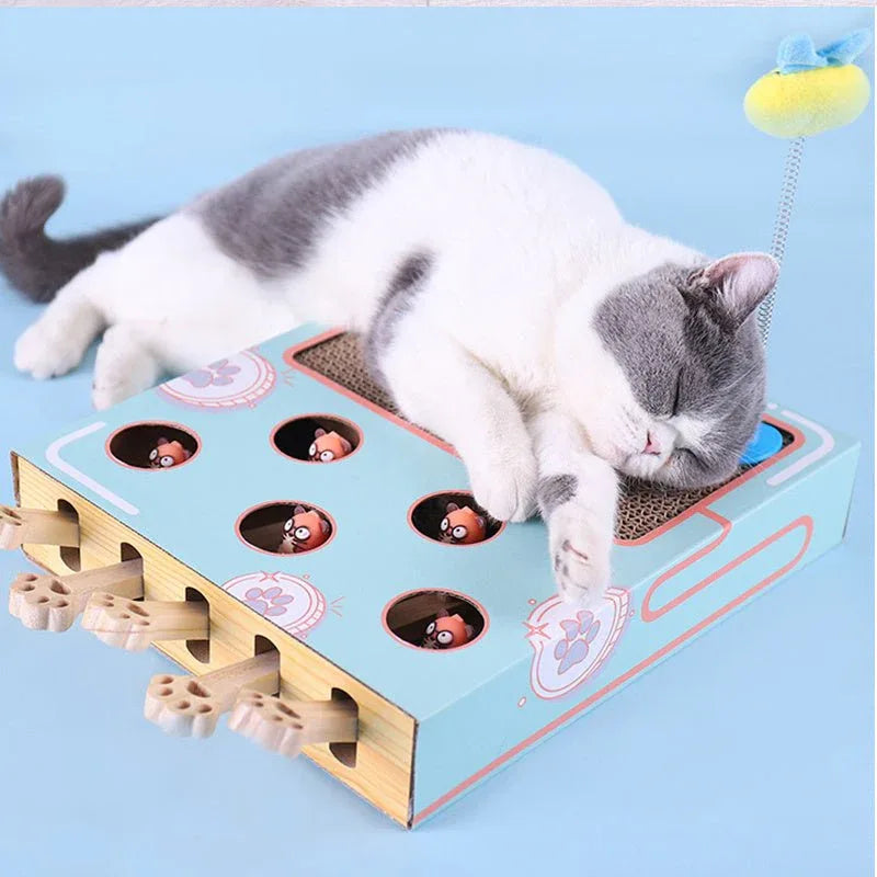 Katzen-Teaser-Hau-den-Maulwurf-Spielzeug