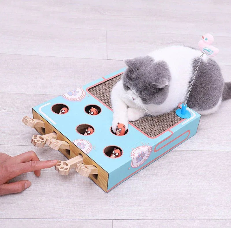 Katzen-Teaser-Hau-den-Maulwurf-Spielzeug