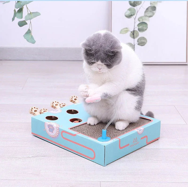 Katzen-Teaser-Hau-den-Maulwurf-Spielzeug
