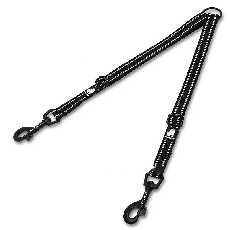 Laisse double pratique pour chiens