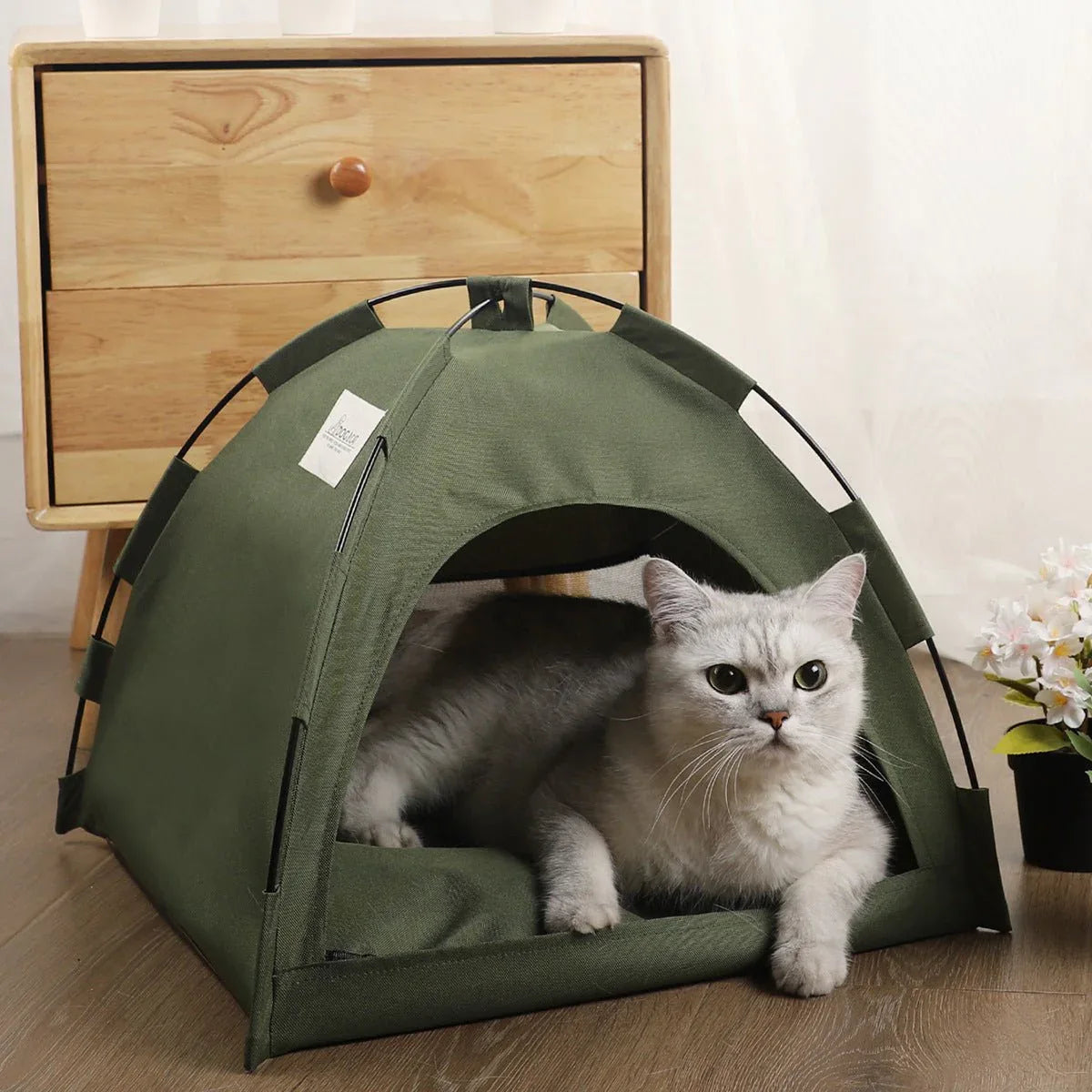 Tente d'intérieur confortable pour chats et chiens