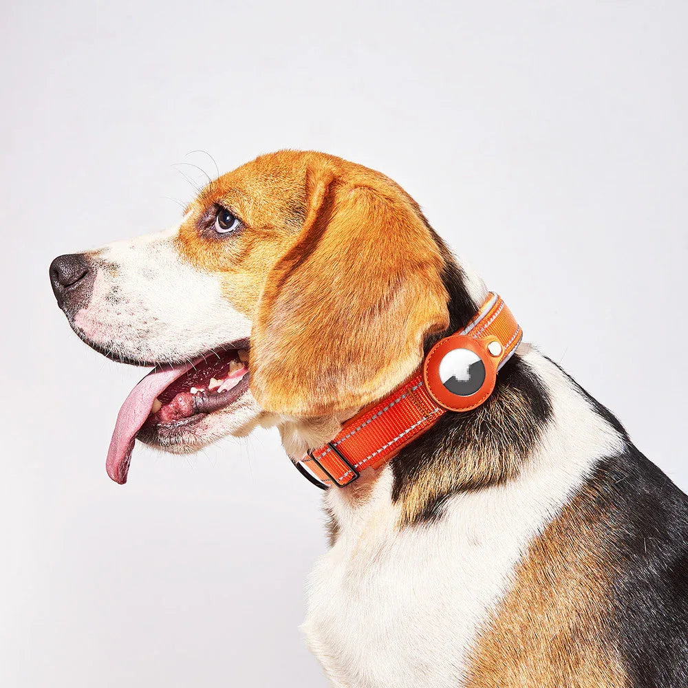 Collier Airtag en cuir et nylon pour chien, chat, animal de compagnie, traceur de localisation anti-perte