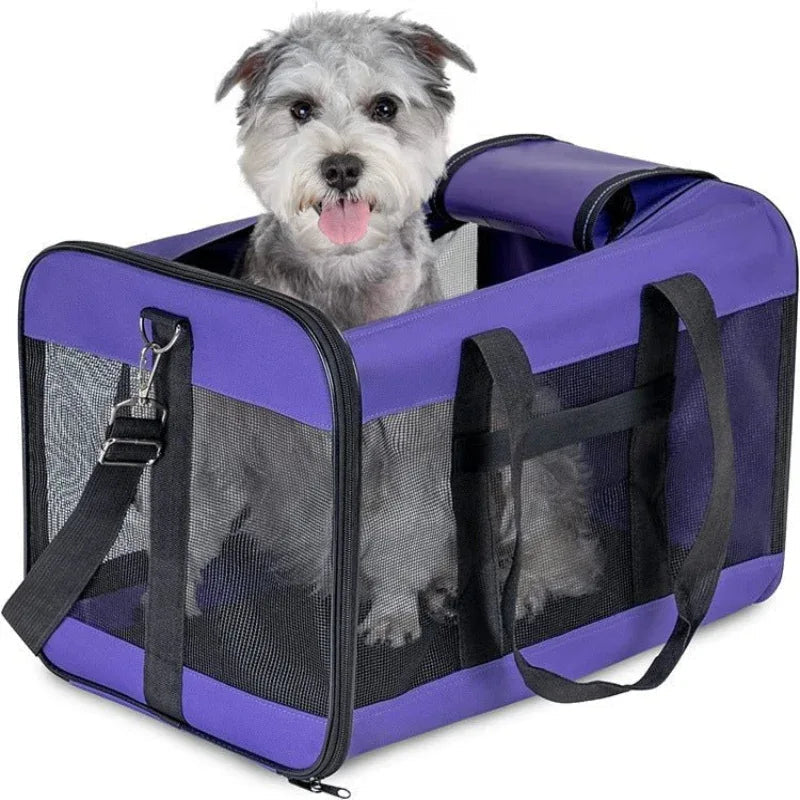 Sac à main de transport pliable pour animaux de compagnie chien chat