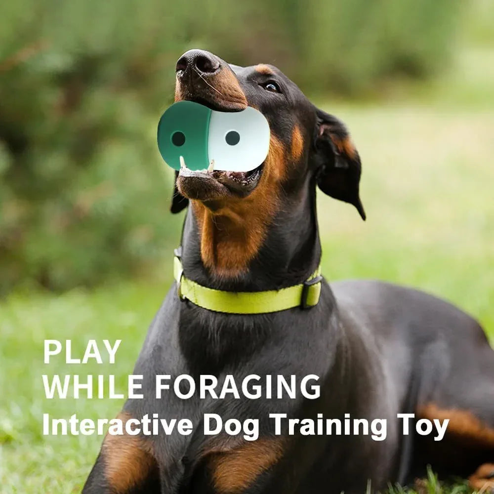Hundefutter-Ausgabe- und Slow-Feeding-Spielzeug