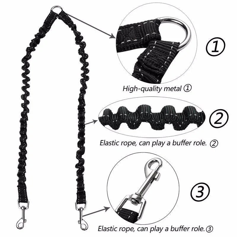 Double laisse en nylon pour chien