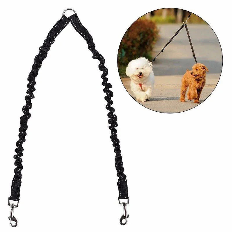 Double laisse en nylon pour chien