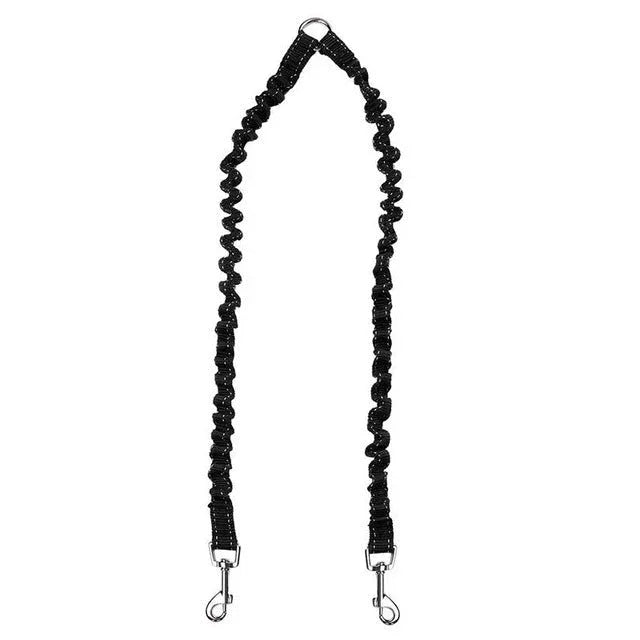Double laisse en nylon pour chien