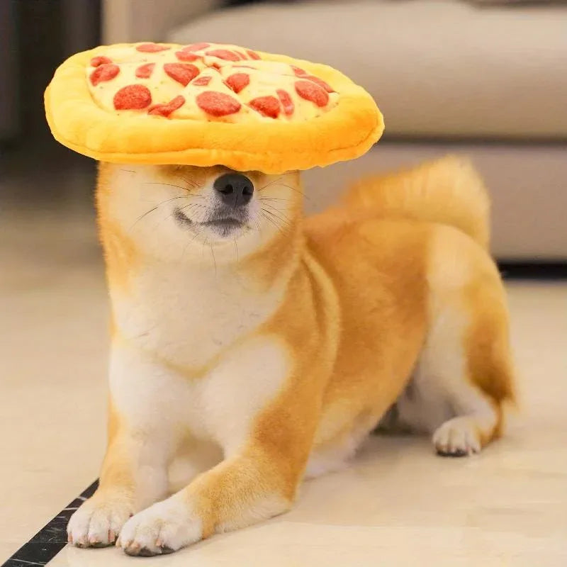 Strapazierfähiges Pizza-Hundespielzeug