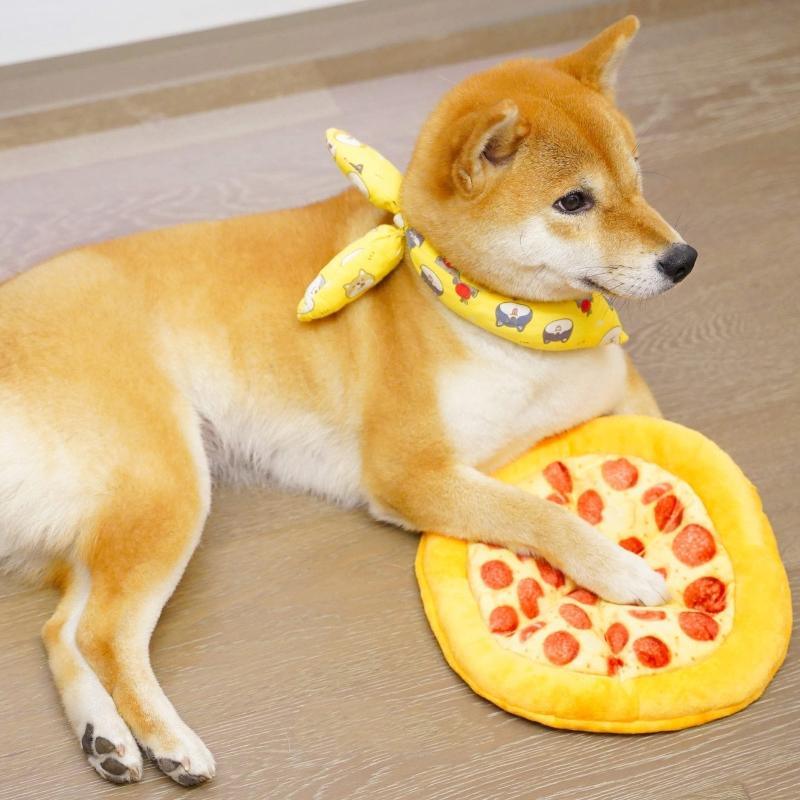Strapazierfähiges Pizza-Hundespielzeug