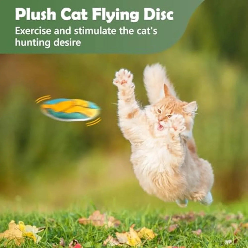 Fliegende Scheiben Frisbees Weiche Katzenminze gefüllte Katzenspielzeuge