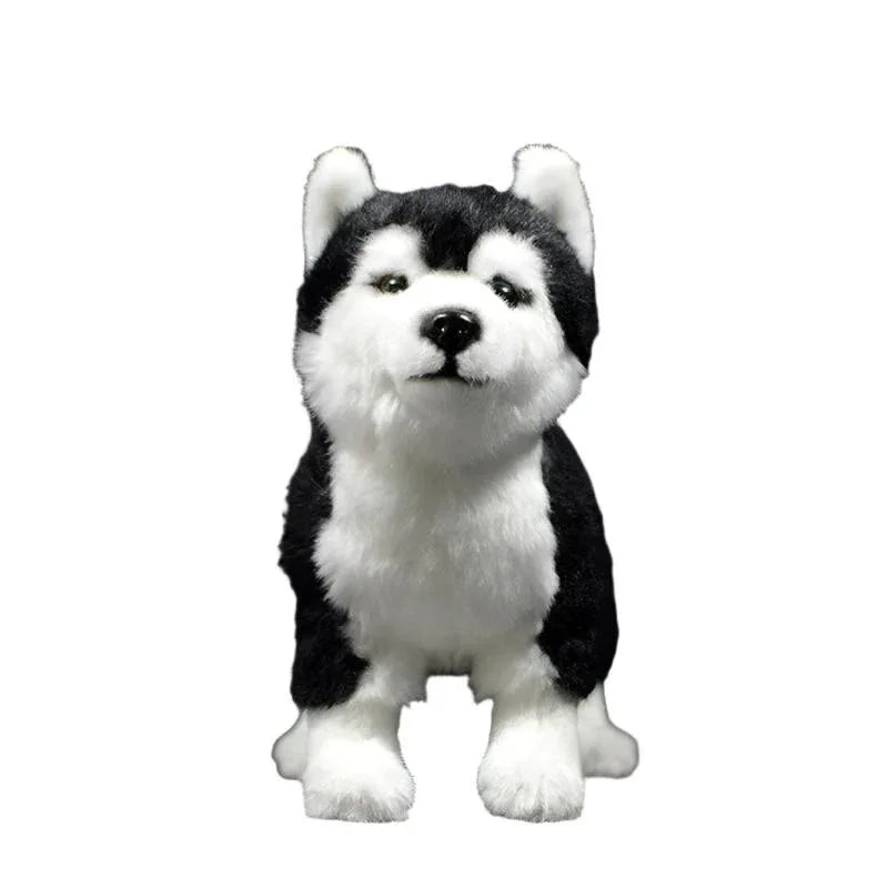 Peluche chien Husky