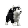 Peluche chien Husky