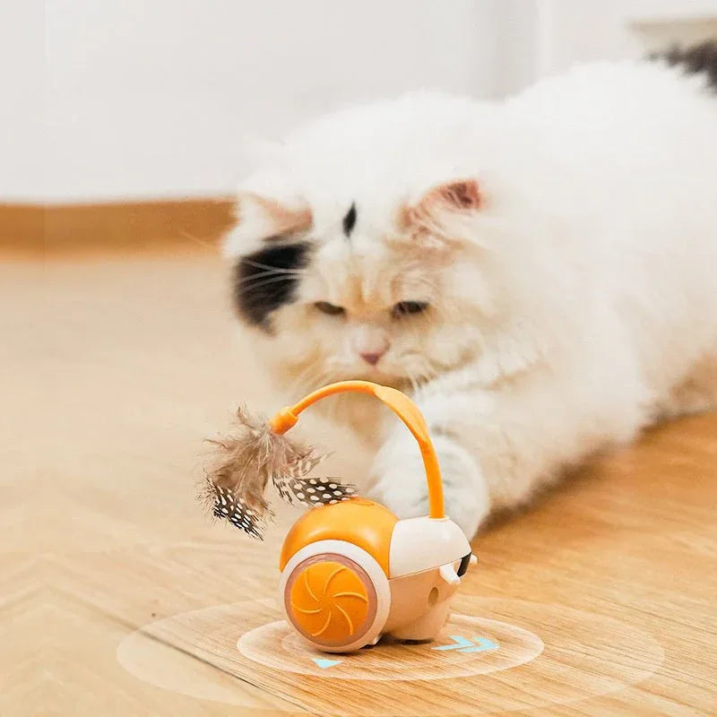 Intelligente elektrische Katzenspielzeuge zum Jagen für das Training in Innenräumen