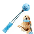 Jouets interactifs pour chiens à mordiller avec ventouse pour masticateurs agressifs