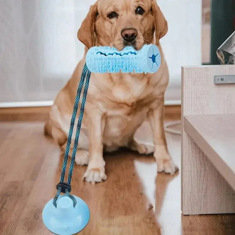 Interaktive Hundekau-Spielbälle für aggressive Kauer mit Saugnapf