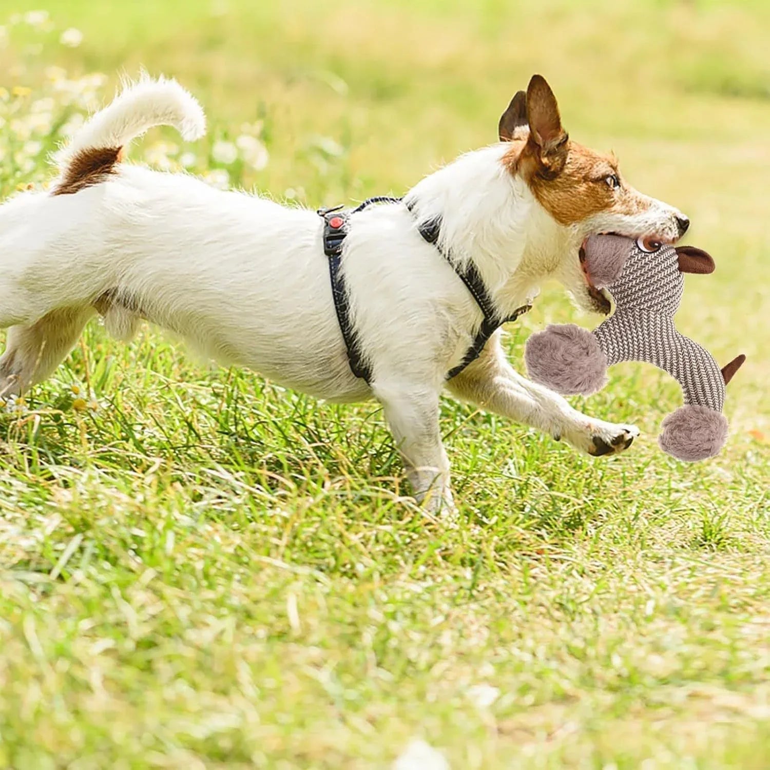 Große quietschende Stofftier-Hundekauspielzeuge