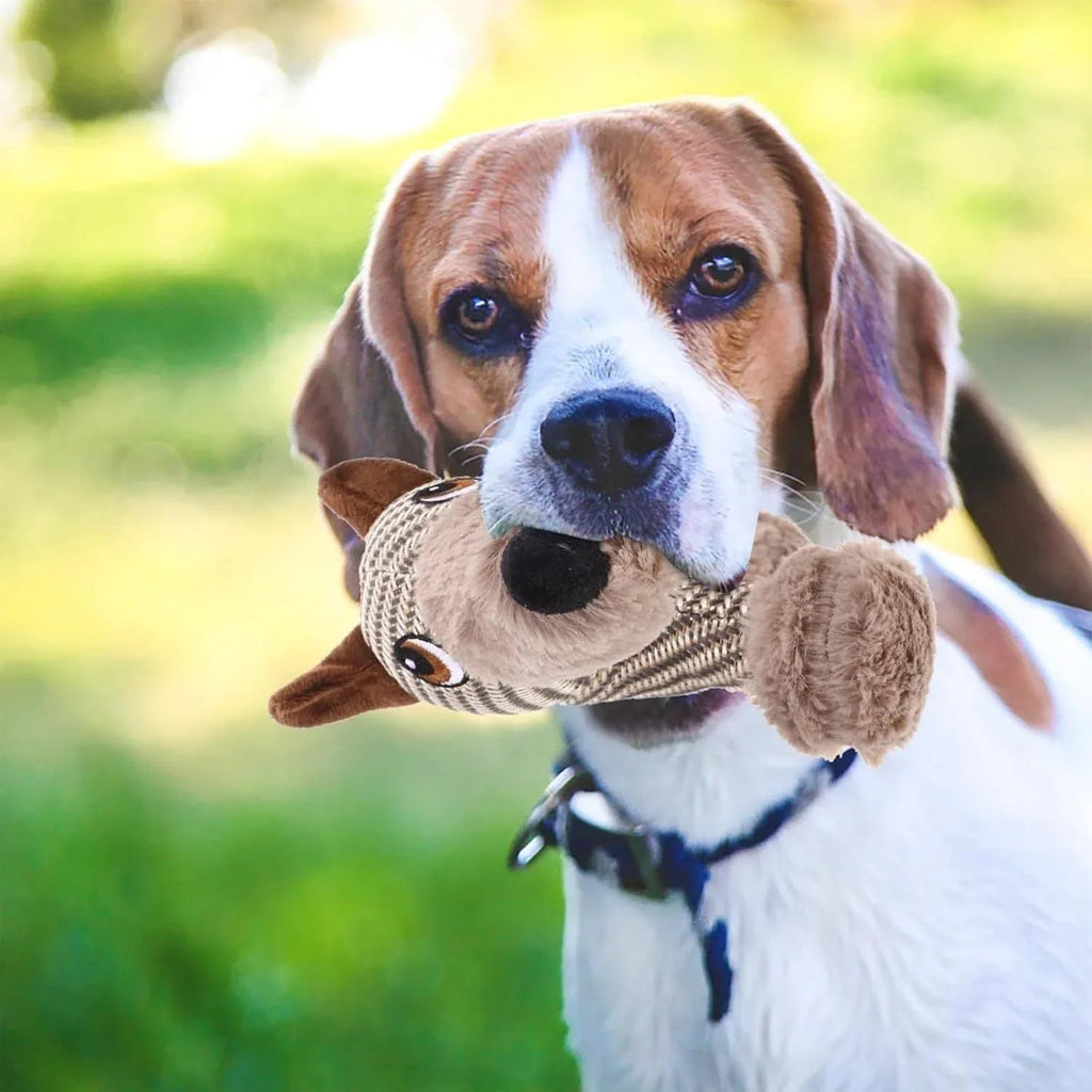 Grands Jouets à Mâcher en Peluche Qui Couinent pour Chiens
