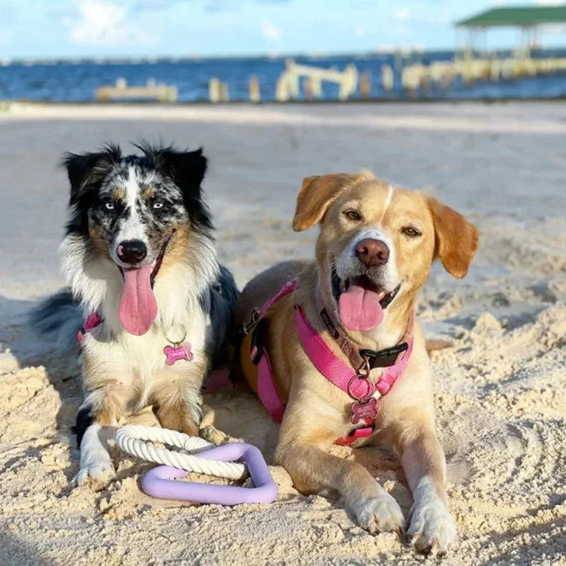 Großer dreieckiger Ziehgriff & bissfester Baumwollseil-Zugring Lustiges interaktives Haustier-Hundekauspielzeug