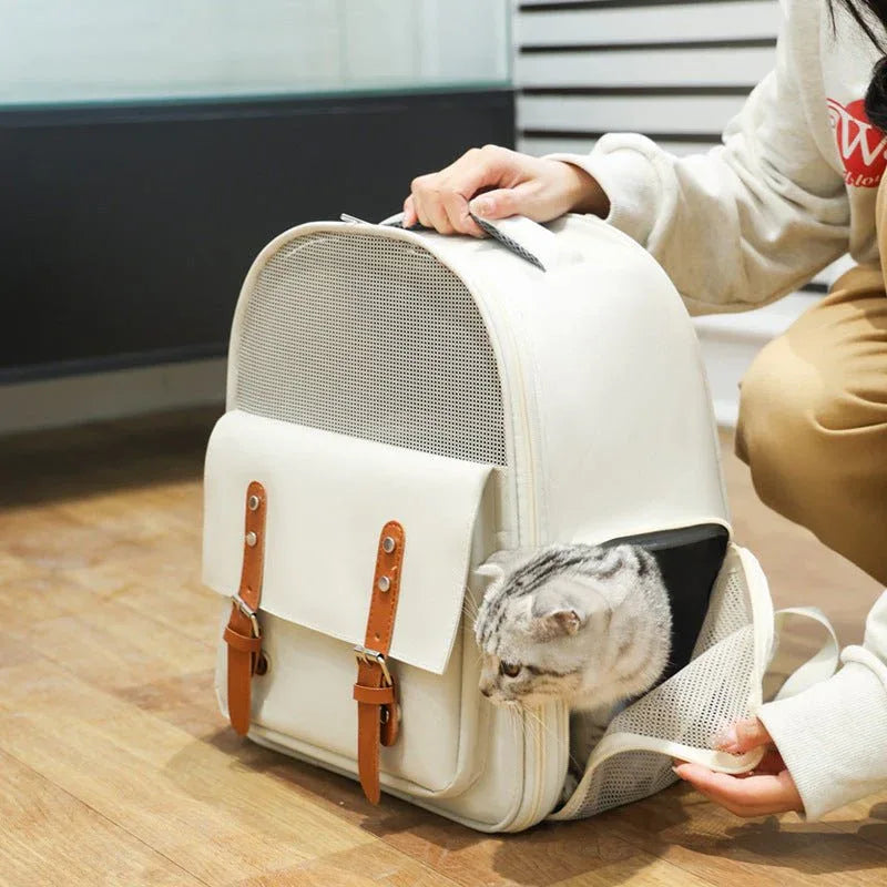 Outdoor atmungsaktiver Rucksack für Hunde und Katzen