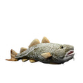Peluche de poisson de morue du Pacifique
