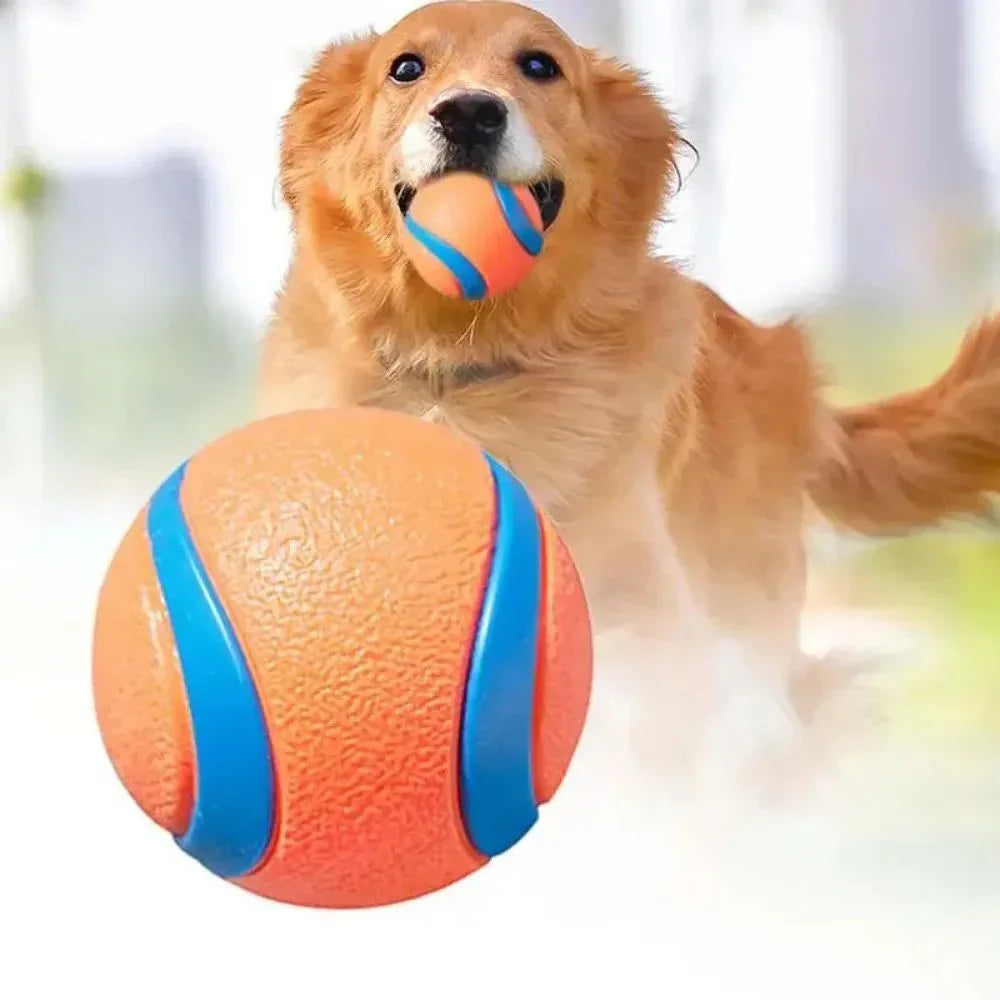 Haustier Apportierball Hundekauspielzeug